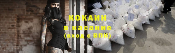 ГАЛЛЮЦИНОГЕННЫЕ ГРИБЫ Магас