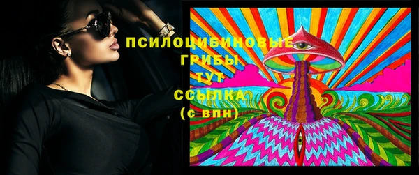 ГАЛЛЮЦИНОГЕННЫЕ ГРИБЫ Магадан