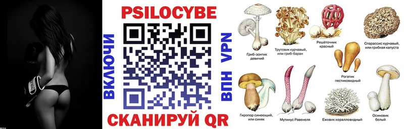 Галлюциногенные грибы MAGIC MUSHROOMS  KRAKEN ссылки  Красково  сколько стоит 
